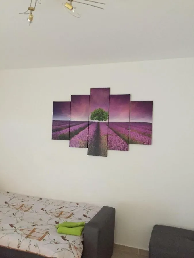 Apartment Brno Pula 0*,